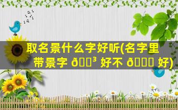 取名景什么字好听(名字里带景字 🐳 好不 🐈 好)